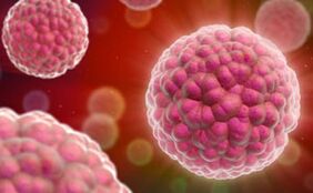 cilvēka papilomas vīrusa simptomi un ārstēšana