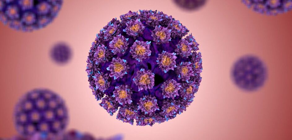 kā izskatās cilvēka papilomas vīruss